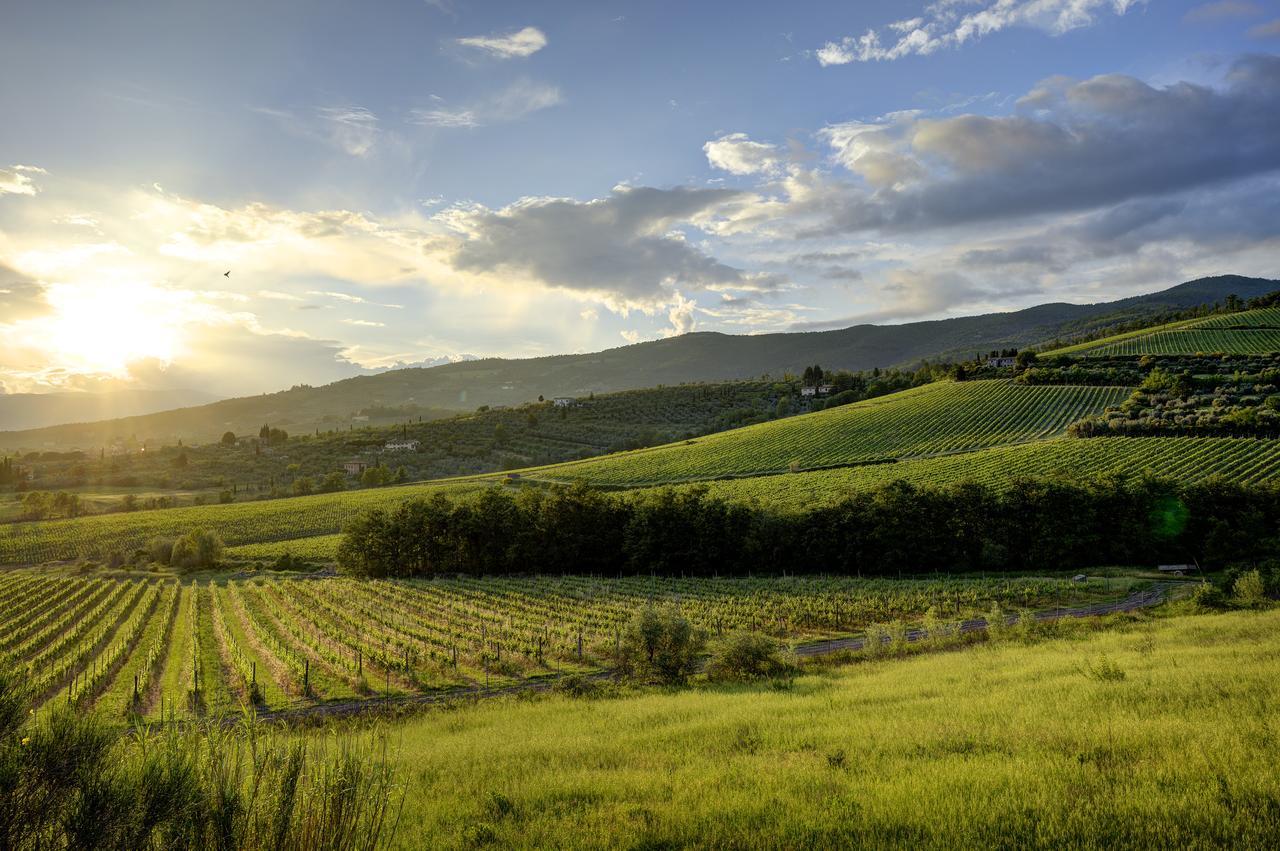 Borgo Antico Casalbosco Holiday Home & Winery Santomato Exterior photo